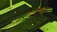WeLase Fiber компактный лазерный гравер