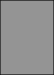 ADA Alternative 321-301 (Серый)